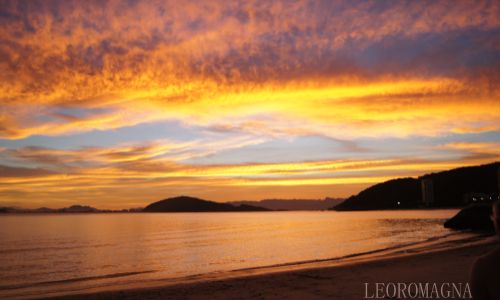 Golden Sunset